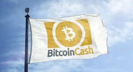 為何比特現(xiàn)金是長期投資的最佳選擇？