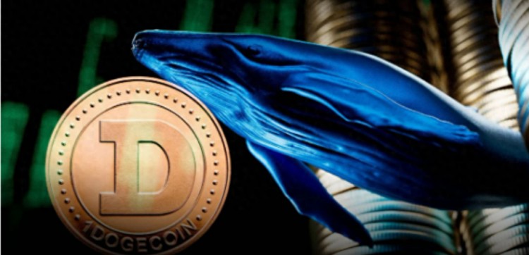 鯨魚來自狗幣 Robinhood 轉移了超過 1.03 億狗狗幣