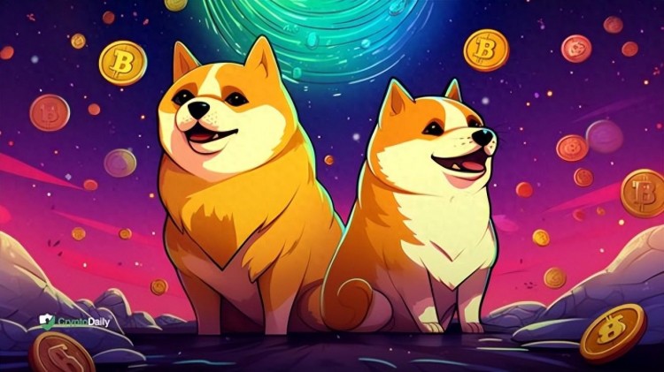 狗狗幣（DOGE）和柴犬（SHIB）比特幣是節日的兩倍，遠遠落后