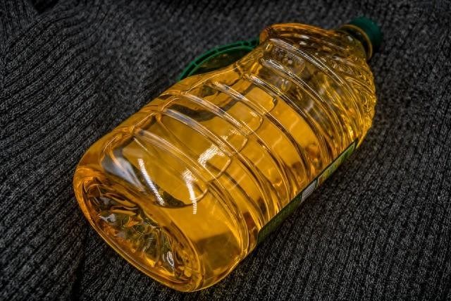 最新豆油菜籽油棕櫚油走勢分析2023.11.20