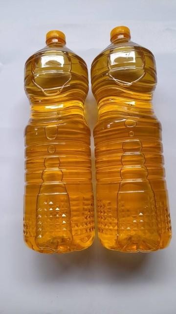 最新豆油菜籽油棕櫚油走勢分析2023.11.20
