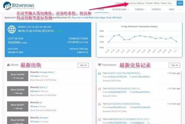 怎樣通過(guò)區(qū)塊鏈資產(chǎn)地址(數(shù)字錢(qián)包地址)查看區(qū)塊鏈資產(chǎn)(數(shù)字貨幣)？