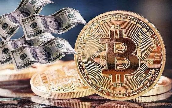 您對數字貨幣交易所了解多少？有什么建議嗎？