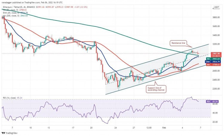 這個星期值得關注 5 大型加密貨幣：BTC、ETH、NEAR、MANA、LEO