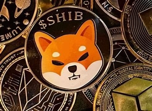 DOGE與SHIB：哪一個是下一個明星加密貨幣，從玩笑到價值？
