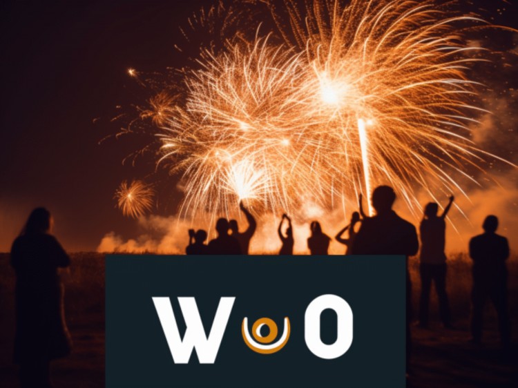 WOO 揮汗如雨，從 3AC 收回股份和股份 2000 萬代幣！