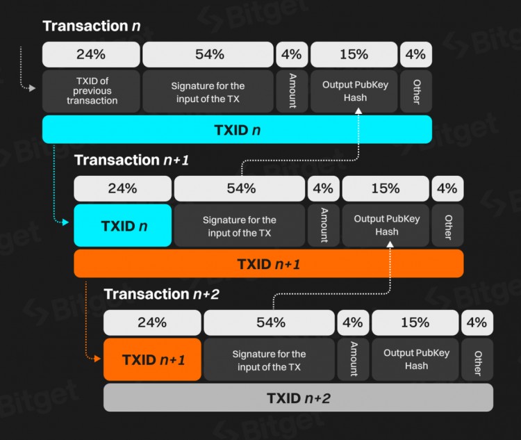 Bitget 研究所：深入分析比特幣生態，下一輪牛市發動機