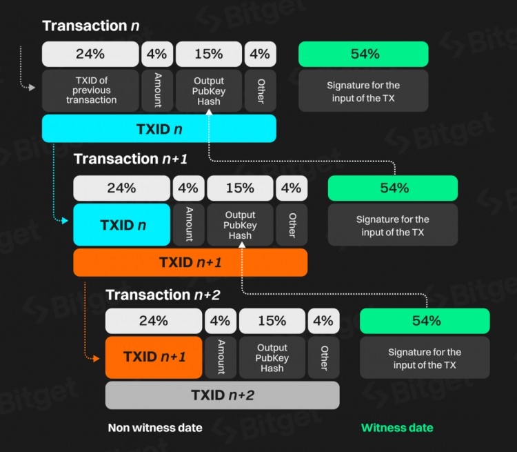 Bitget 研究所：深入分析比特幣生態，下一輪牛市發動機