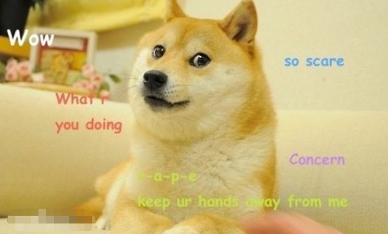 什么是網(wǎng)絡(luò)語言doge？