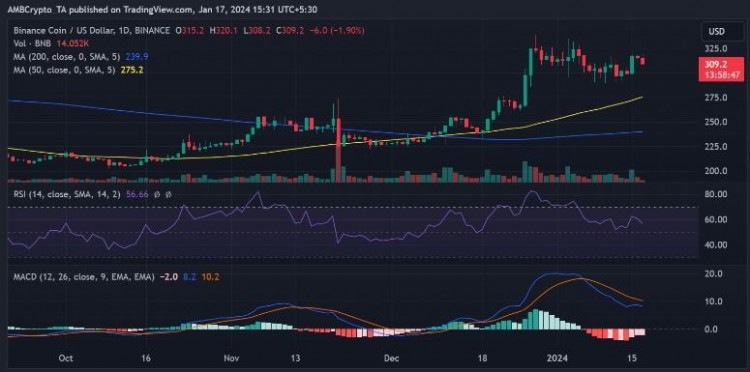 為什么 BNB 交易者準備跌破300美元，休眠的比特幣正在現貨 ETF 狂潮中復活
