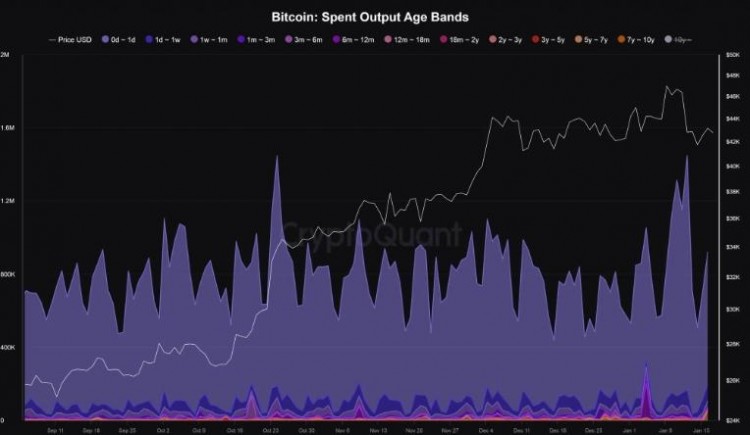 為什么 BNB 交易者準備跌破300美元，休眠的比特幣正在現貨 ETF 狂潮中復活