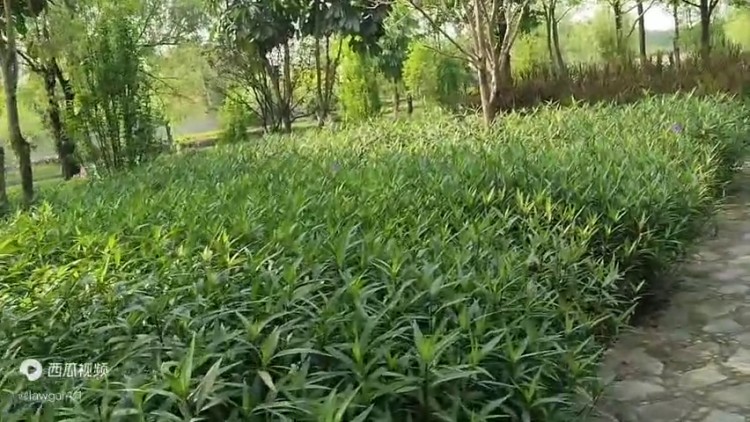 國(guó)內(nèi)對(duì)比特幣虛擬貨幣了解不全面，容易掉進(jìn)詐騙陷阱，開(kāi)戶(hù)...