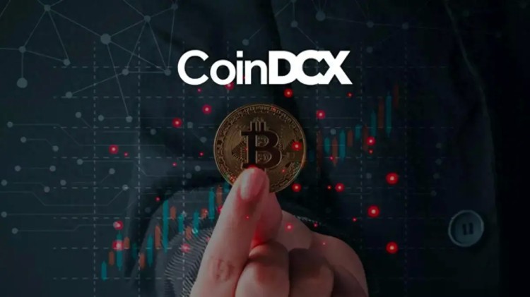 CoinDCX，新加坡加密貨幣交易所 啟動 Web3 模式，提供訪問50,000個代幣的權限