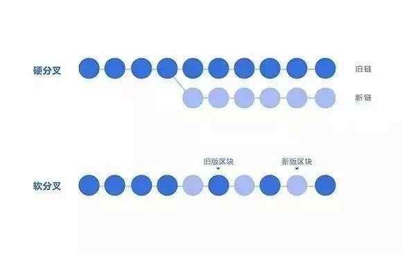 比如BCH現金比特幣、分叉幣，如以太經典ETC，值得投資嗎？